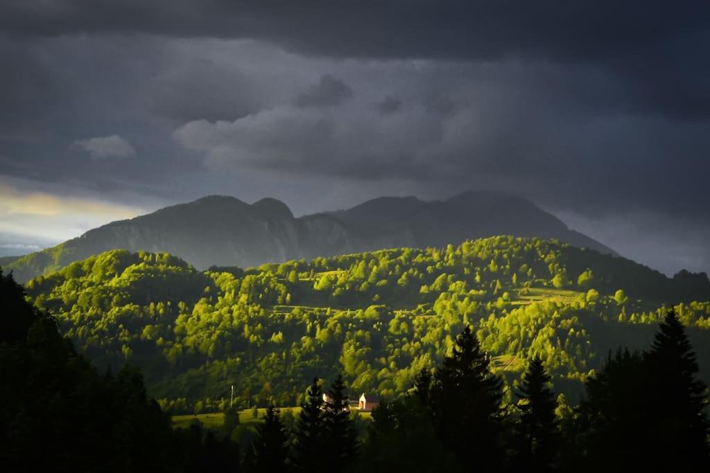 Chalet Dor De Munte Предял Экстерьер фото
